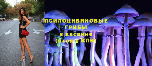 кокс Осташков