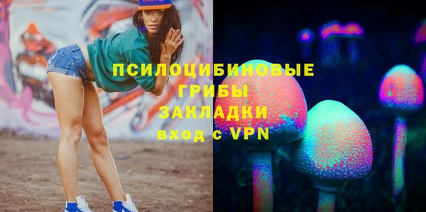 кристаллы Осинники